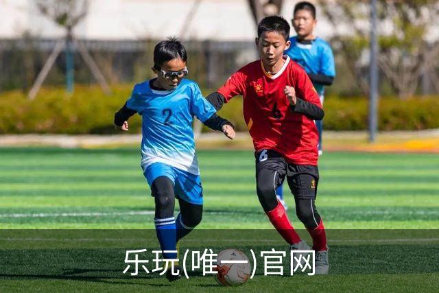 乐玩(唯一)官网公司展示